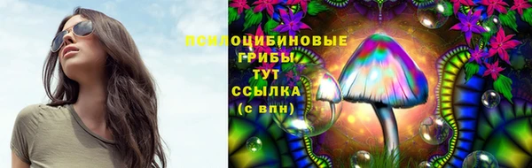 эйфоретик Белокуриха