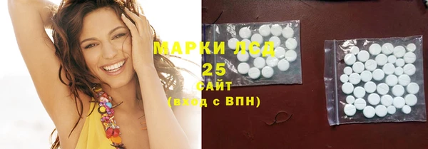 PSILOCYBIN Беломорск