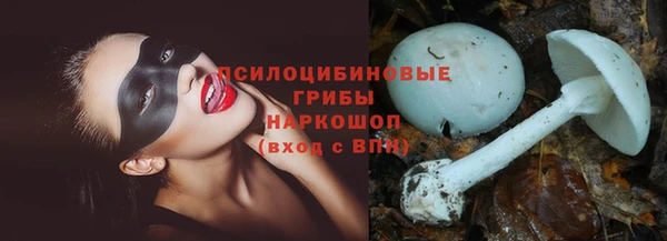 крисы Белоозёрский