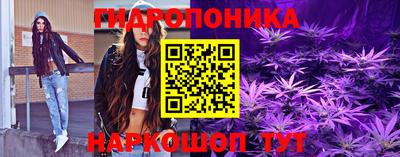 дмт Краснодар